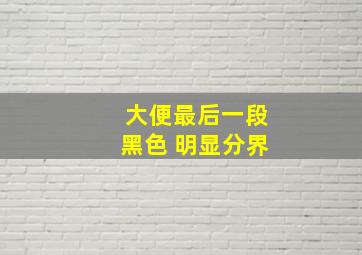 大便最后一段黑色 明显分界